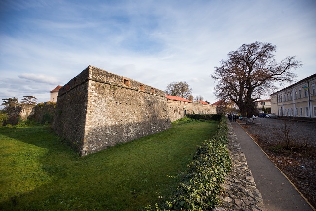 Закарпатский краеведческий музей 